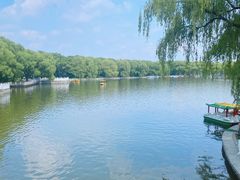 -北陵公园