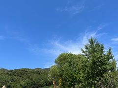 -北京西山国家森林公园