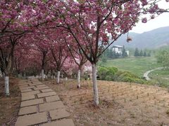 -黄河小浪底水利枢纽风景区