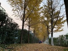 -金陵图书馆