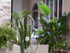 -隅乐胡椒虾·台湾菜·团建(皇岗店)