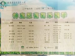 -白鹿原葡萄主题公园