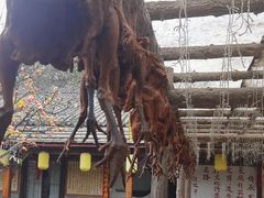 -土灶人家柴火鸡(都江堰店)