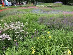 -赛纳河休闲商务会馆(天宁寺店)