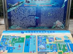 -北海海底世界