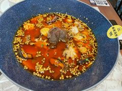 -渔语鱼新川菜Bistro(万象天地店)