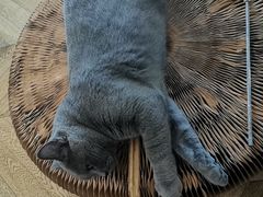 -Me Coffee下午茶艺术空间