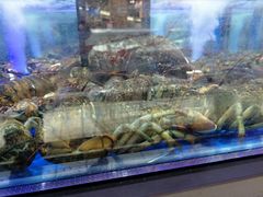 -大润发(南湖店)
