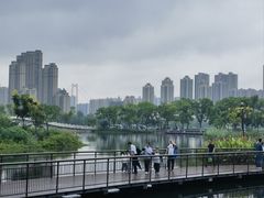 -武汉动物园