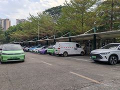 -深圳市宝安体育中心体育场