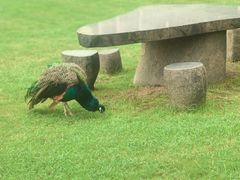 -天目湖涵田度假村