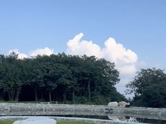 -秦岭终南山世界地质公园翠华山景区