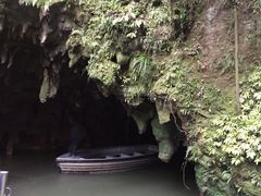 -怀托摩萤火虫洞