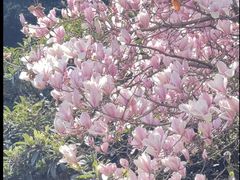 -成都杜甫草堂博物馆