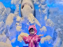 -海合安成都极地海洋公园