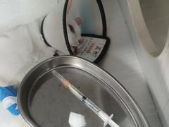 -博特宠物医院24h犬猫全科.骨科·异宠