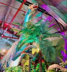 -恐龙探索乐园(磁器口店)