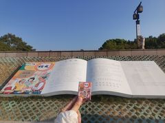 -观潮胜地公园