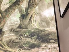 -中航城君尚购物中心
