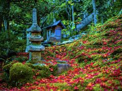 -常寂光寺