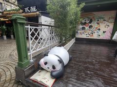 -轩客会(熊猫书店)
