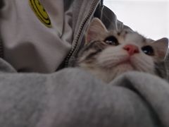 -宠福鑫康馨动物医院·骨科·眼科