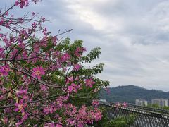-福道