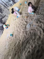 -恐龙探索乐园(磁器口店)