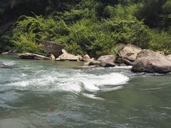 -九曲溪竹筏码头