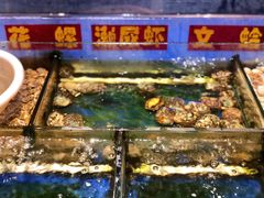 -肥仔文澳门猪骨煲(南京西路店)