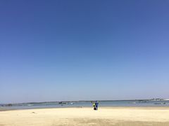 -北海金海湾红树林生态旅游区