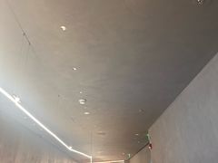 -喜茶(深圳万象城黑金店)