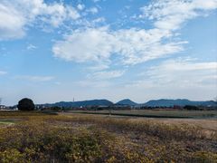 -良渚古城遗址公园