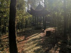 -潜山国家森林公园