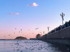 -青岛海滨风景区