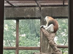 -昆明动物园