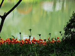 -杭州花家山庄