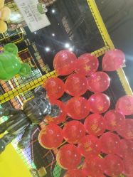 -蹦蹦跳跳(新奥购物中心店)