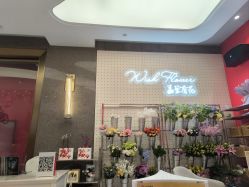-云南吴氏嘉美医疗美容医院