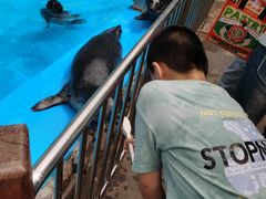 -泉城欧乐堡海洋极地世界