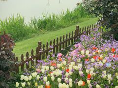 -荷兰花海