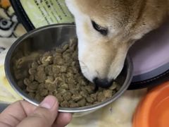 -瑞派申生动物医院·24H夜诊·国际动物医疗中心·骨外科(吴中路店)