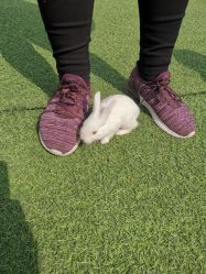 -萌宠亲子动物乐园(槐房万达店)