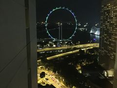 -新加坡泛太平洋酒店