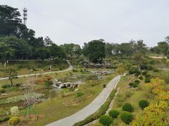 -东莞植物园