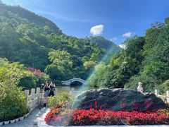 -黔灵山公园