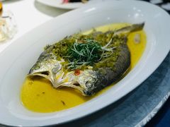 雪菜蒸野生大黄鱼-麟1929(外滩店)