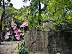 -秦岭终南山世界地质公园翠华山景区