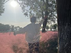 -汉长安城未央宫国家考古遗址公园