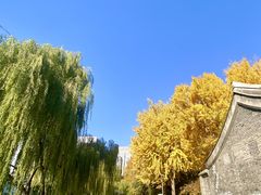 -元大都城垣遗址公园